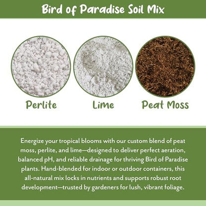 Soil Sunrise Bird of Paradise Potting Soil Mix (8 Quarts) All Natural Mix for Indoor/Outdoor Container Tropical Plants