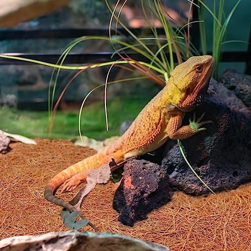 ZeeDix 3 Rolls Reptile Carpet, 24 x 48 inches Natural Coconut Fiber Liner Mat Flooring Accessories for Reptile Tank - Bearded Dragon Tortoise Lizard Turtle Snake Leopard Gecko Substrate Bedding - size: 3 Pcs (24X48in)