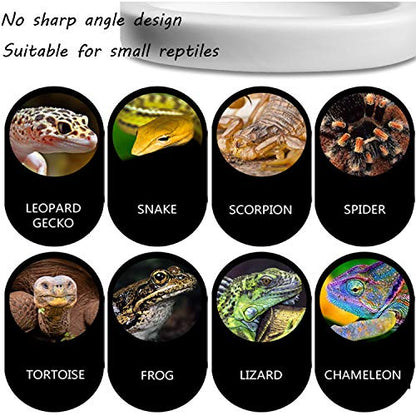 Reptile Worm Feeding Dish Bowls Gecko Lizard Feeder Dish with Feeding Tong, 2 Bowls and 1 Feeding Tong, Ceramic Mini Size