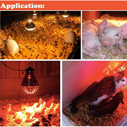 Infrared Bulb 250w 120v Red Hard Explosion-Proof Glass Infrared Heating Lamp for Chicken,Pet,Bathroom Warming Light Bulb - color: Light Red