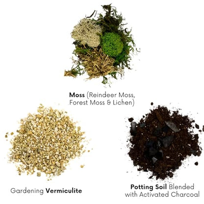 Cute Farms Terrarium Starter Kit | Moss, Vermiculite, Soil, Plant Food, Brush, Build and Care Guide | DIY Succulent Terrarium Kit for Adults and Kids - style: Terrarium Kit (No Glass)