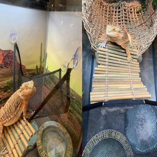 kathson Reptile Bridge for Terrarium,Bearded Dragon Wooden Bridges Gecko Hammock with Hanging Plants Lizard Lounger Bamboo Ladder Reptiles Tank Accessories Climbing for Chameleons Geckos Snakes (3Pcs) - size: Medium
