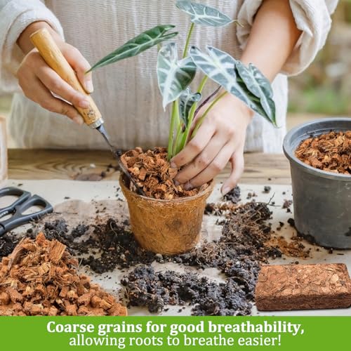 Riare 8 Pack Coco Chips Substrate for Plants- 8.8lb 100% Organic Coconut Husk Brick with Low EC and pH Balanced, High Expansion Coconut Substrate Coco Husk Mulch for Garden Flowers, Herbs, Planting - color: 8 Pack