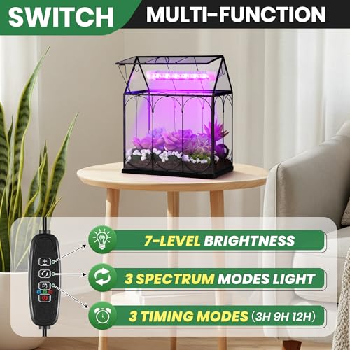 Meonum Tiny Glass Terrarium Kit with Grow Light, Venus Fly Trap Terrarium with Absorbent Mat, Timer&3 Light Modes for Succulent Live Air Plants Indoor Home Office Decor (7.1"x 4.7"x 8.7",USB Powered)