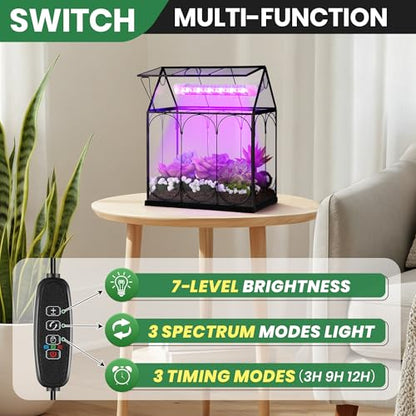 Meonum Tiny Glass Terrarium Kit with Grow Light, Venus Fly Trap Terrarium with Absorbent Mat, Timer&3 Light Modes for Succulent Live Air Plants Indoor Home Office Decor (7.1"x 4.7"x 8.7",USB Powered)