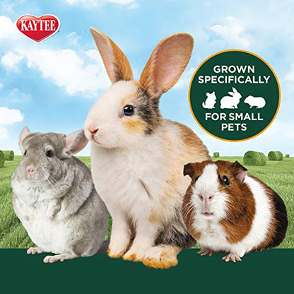 Kaytee All Natural Timothy Hay Plus Marigolds for Guinea Pigs, Rabbits & Other Small Animals, 24 Ounce - size: 1.5 Pound (Pack of 1)