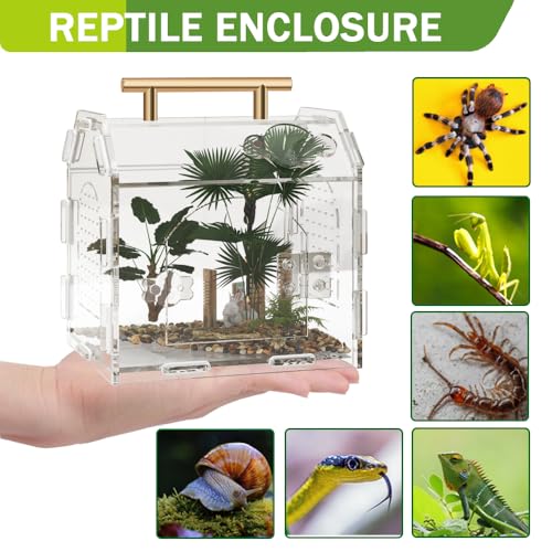 Jumping Spider Enclosure,Premium Acrylic Spider Enclosure - Ideal for Tarantulas, Reptiles, and Insects - Easy Assembly & Feeding - All-Round Transparent Terrarium
