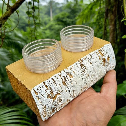 Gecko Feeding Ledge | Removable Resin Food Dish | Terrarium Bowls Reptile Feeders - for Pets Crabs Turtle Spider Bearded Dragon Frogs Centipede Small Animal