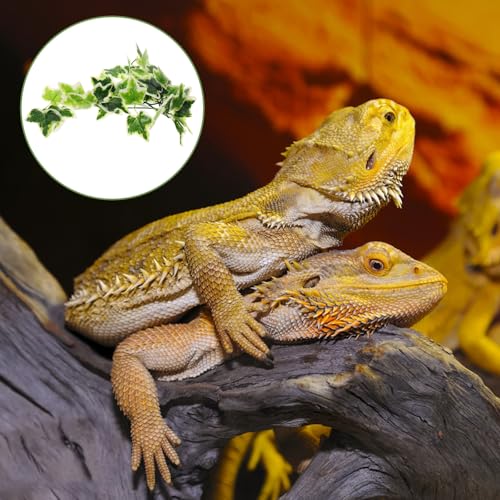 Cabilock Artificial Reptile Plants Hanging Ornament with Suction Cup, Lifelike Fake Plant Pendant for Amphibious Habitat Decoration in Terrariums and Reptile Enclosures
