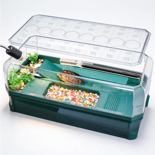 Turtle Tank Kit with 3-Stage Filter, Basking Platform & Heat Lamp - Complete Turtle Aquarium Habitat for Water Turtles, Enclosure or Hermit Crab Tank, Easy Drain Starter Kit Green, 18.1 Inch - color: Green, size: 18.1x9.1x9.4 Inch