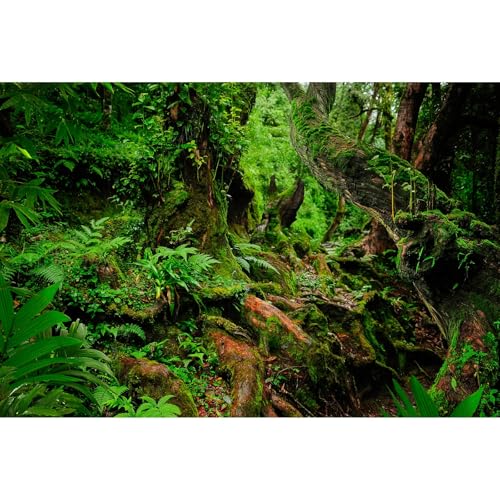 Rainforest Reptile Tank Background Tropical Jungle Forest Fish Tank Background Giant Tree Roots Lush Ferns Moss Reptile Tank Backgrounds Jungle Trees Nature Reptile Enclosure Backgrounds 30x18in - color: Pure Green, size: 30(W)x18(H)inches/ 75(W)*45cm(H)