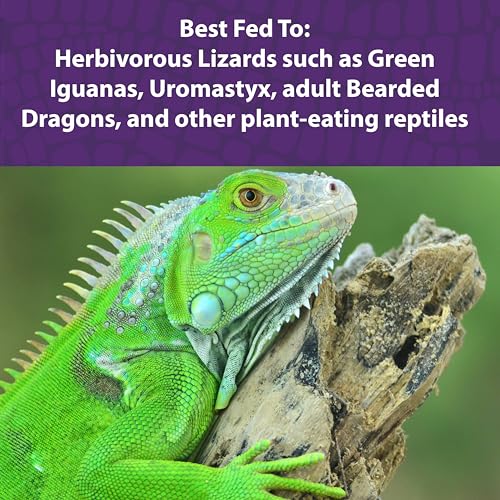 Mazuri® Herbivorous Reptile Diet | Food for Plant-Eating Herbivorous Lizards, Green Iguanas, Uromastyx Lizards | 25 Pound (25 LB) Bag