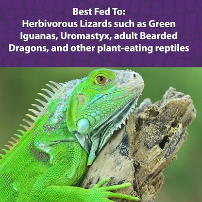 Mazuri® Herbivorous Reptile Diet | Food for Plant-Eating Herbivorous Lizards, Green Iguanas, Uromastyx Lizards | 25 Pound (25 LB) Bag