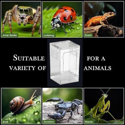 Jumping Spider Enclosure – Acrylic 15x15x25cm | Small Reptile Habitat with Dual-Sided Ventilation | Front-Opening Arboreal Tarantula Tank | Transparent Terrarium for Mantis and Invertebrate Use - color: Large arboreal breeding box