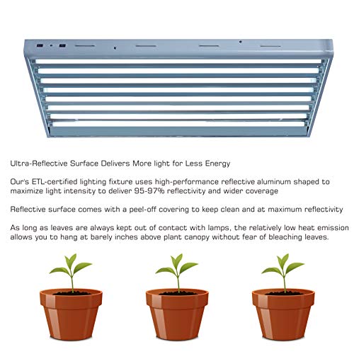 BloomGrow 2FT T-5 HO Fluorescent Lighting Kit 2-Bulb 24W 6500K Lamp Included for Indoor Growing T5 Grow Lights Fixtures