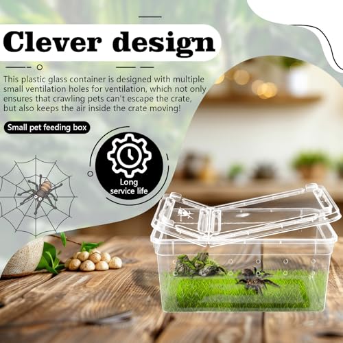 10Pcs Reptile Feeding Box, Transparent Animal Habitat Cage Spider Terrarium, Plastic Breeding Box for Reptile Turtle Spider Frog Scorpion Snake (5.9 x 3.9 x 2.5 in)