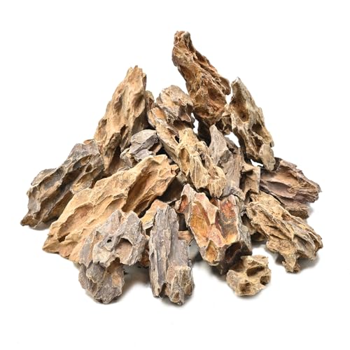 Natural Rocks Dragon Stone 1-2.5 Inches Decorative Rocks for Miniature Terrariums,Fairy Gardens,Bonsai,DIY Crafts, Aquariums Dioramas & Wargaming-1lb - size: 1lb(1-2.5Inch)