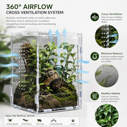 Jumping Spider Enclosure, Large Acrylic Arboreal Terrarium with Top Rotating Lock Door, Ventilated Insect Habitat Tank for Jumping Spiders, Small Geckos