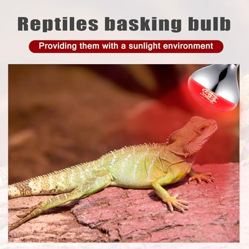 VIHOSE 2 Pack 250 Watt Heat Lamp 120v R40 Heat Lamp Bulbs Glass Incandescent Light Bulbs Incandescent Heating Lightbulbs for Reptiles Chicks Food Puppies Bathroom, Use E26 Base (Red) - color: Red