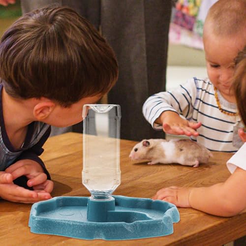 jojofuny Automatic Reptile Water Feeder Terrapin Water Dish Lizard Food Holder with Reservoir Lake Blue for Tortoise and Pet Reptiles Terrarium Use