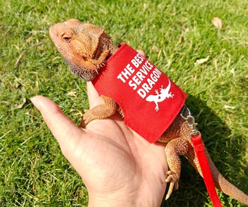 Bearded Dragon Harness and Leash Set, Escape Proof Adjustable Lizard Reptile Vest Clothes with 5.5 ft Leash for Outdoor Walking, Best Service Dragon Design