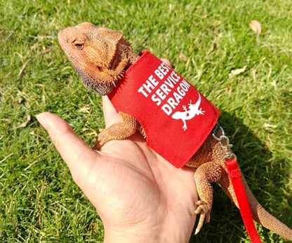 Bearded Dragon Harness and Leash Set, Escape Proof Adjustable Lizard Reptile Vest Clothes with 5.5 ft Leash for Outdoor Walking, Best Service Dragon Design