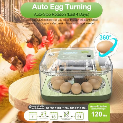 Incubators for Hatching Eggs, 12 Eggs Capacity, Egg Incubator with Automatic Egg Turning and Humidity Control for All Poultry - Chickens, Ducks, Quails, Turkeys, and More (Green)