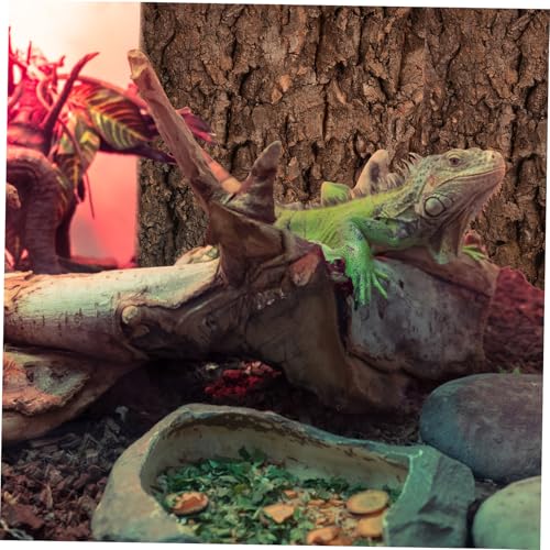 Abaodam 2 Pcs Natural Cork Bark Reptile Decor for Fish Tank Landscaping Climbing Background for Bearded Dragon Gecko and Aquarium Terrarium Safe and Sturdy Micro Landscape Branches