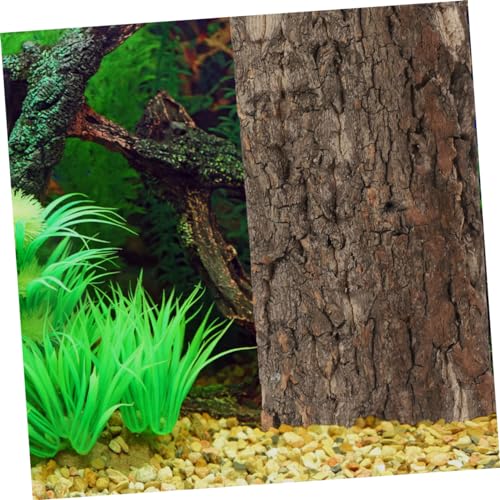 BESPORTBLE Reptile Cork Bark Decor Natural Reptile Background Turtle Platform Lizard Climbing Cork Bark Aquarium Decor