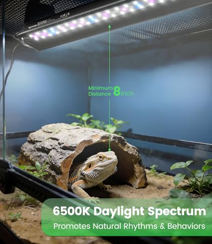 12W T5 UVB LED Reptile Light – High Output UVA UVB Light for Bearded Dragon, T5 10.0 UVB Reptile Light Fixture (19.6") - size: 19.6"