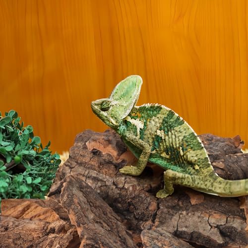SHINEOFI 14pcs Cork Bark Reptile Decor Natural Tree Bark Climbing Platforms for Gecko Lizard Snake Spiders Tank Terrariums Turtle Tanks Decor,Random Shape