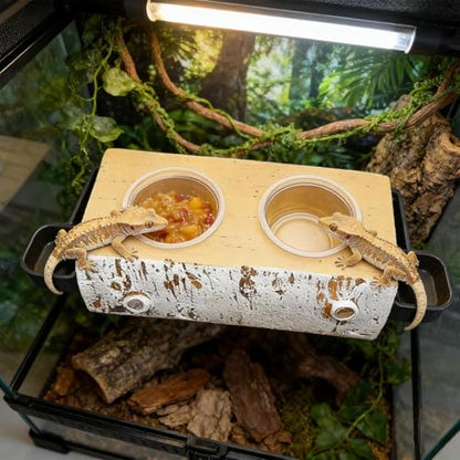 Reptile Feeder Ledge, 5.71x2.95x1.77 Inches Resin PP Magnetic Dish for Gecko Feeding, Hydration, Pet Care, Vivarium Organization, Supply Storage