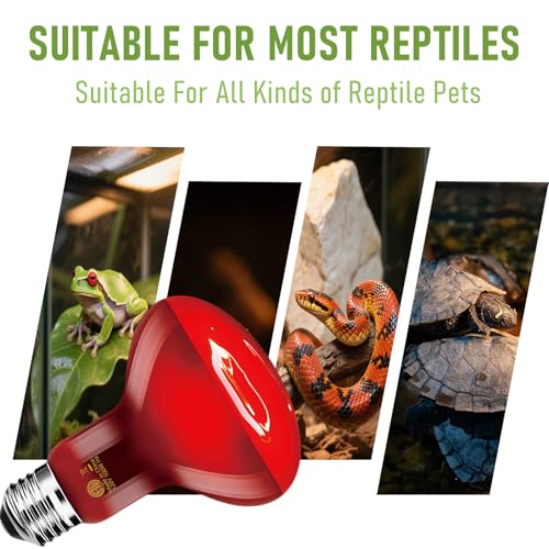 100W Infrared Heat Lamp Bulb, 2-Pack Red Heat Emitter for Reptile & Amphibian Basking – Perfect for Bearded Dragon, Lizard, Turtle, Snake - color: Red
