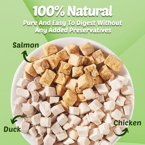Turtle Food - 3 in 1 Freeze-Dried Meat – Chicken, Duck & Salmon – Natural Treats for Turtles, Cats & Dogs – Human-Grade Real Meat
