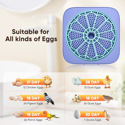 Incubators for Hatching Eggs, Smart Egg Incubator with Humidity & Temp Control and Auto Turner, 360° View Incubadora De Huevos De Gallina for Chicken, Duck, Quail Eggs, Ideal for Farm, School and Lab