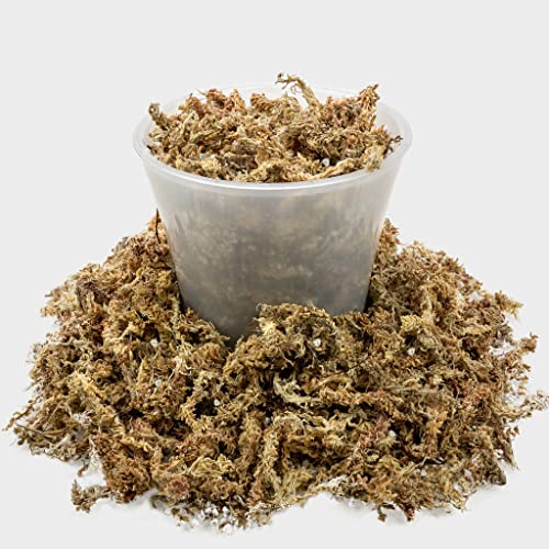 Gardenera Premium Carnivorous Plant Potting Mix - 4 Quart Sphagnum Moss and Perlite Blend for Potting Venus Fly Traps, Sarracenia, Pitcher Plants - size: 4 QUART