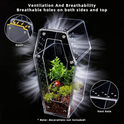 Jumping Spider Enclosure, No Installation Insect Terrarium with Magnetic Door & All-Side Ventilation, Bug Enclosure for Tarantula, Snail, Beetle and Small Reptiles
