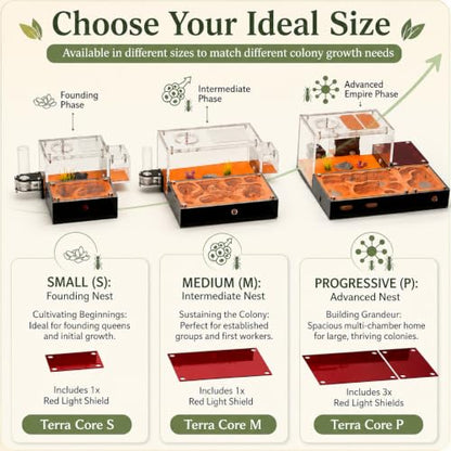 Terra Core M Ant Nest with Starter Kit 9 x 8 x 4.33 in - size: Terra Core Series-M