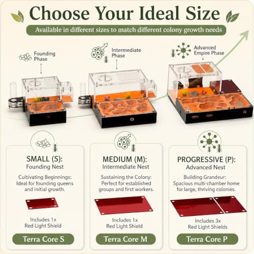Terra Core Series Progressive Ant Nest with Starter Kit 10.63 x 9 x 5.12 in - size: Terra Core Series-Progressive