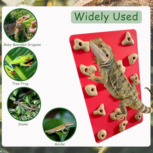 Mini Reptile Rock Climbing Wall, Terrarium Enclosure Enrichment & Habitat Décor for Bearded Dragons, Geckos, Lizards, Snakes, Tree Frogs and Small Amphibians (Red & Beige)