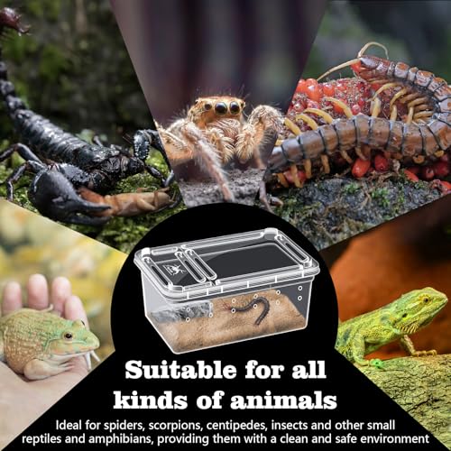 10Pcs Reptile Feeding Box, Transparent Animal Habitat Cage Spider Terrarium, Plastic Breeding Box for Reptile Turtle Spider Frog Scorpion Snake (5.9 x 3.9 x 2.5 in)