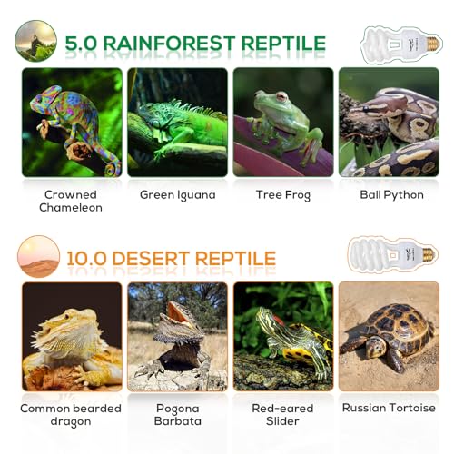UVB Bulb for Reptiles, 10.0 13W UVB Light for Reptiles, Hygger zoo UVA UVB Reptile Light Bulb Reptile UVB Bulb UVB Light for Bearded Dragon Turtle Lizard Reptile Lamp Terrarium Lamp for Desert Reptile - size: 10.0-13W