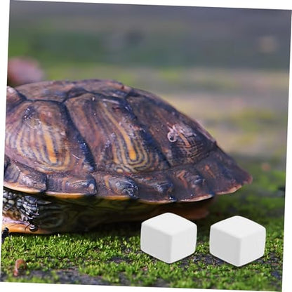 balacoo 6pcs Natural Mineral Block for Reptiles and Crustaceans Essential Snack for Aquariums Prolonged Mineral Release Safe and Health for Lizards and Crabs