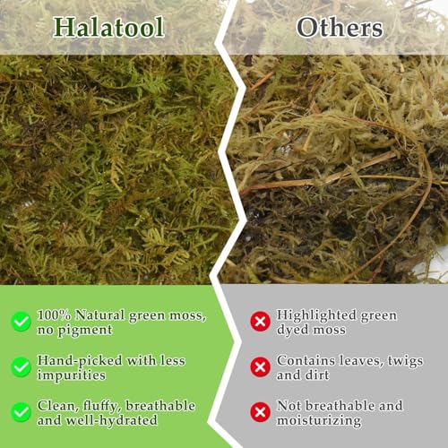 Halatool 1.1LB Sphagnum Moss with 6-Pack Coconut Fiber Substrate for Reptiles, Terrariums, Humidity Retention, Bedding, Nesting & Burrowing