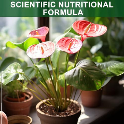 Doter All-Natural Potting Soil for Anthurium & Indoor Plants 2qt - Enhanced Drainage, No Additives | Premium Indoor Plant Soil Mix - size: 2qt