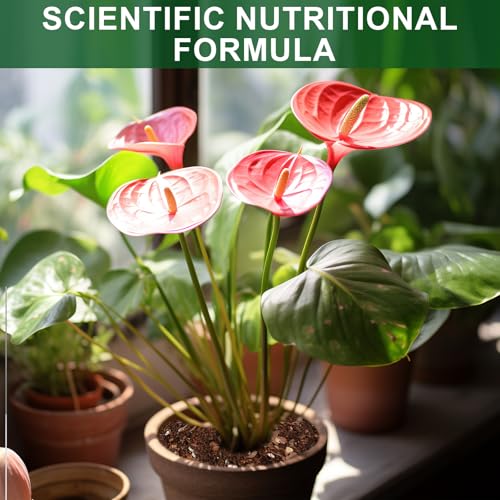 Doter All-Natural Potting Soil for Anthurium & Indoor Plants 4qt - Enhanced Drainage, No Additives | Premium Indoor Plant Soil Mix - size: 4qt