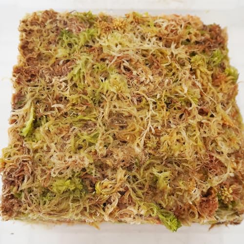 3.2 oz Compressed Sphagnum Moss for Plants, Carefully Selected Premium Sphagnum Moss for Orchid - size: 3.2 oz