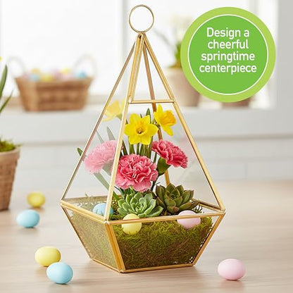 D'Eco Glass Gold Pyramid Centerpiece (5x5x10) - Hanging Planter Terrarium - Spring Home & Wedding Decor - Fill with Succulents, Cacti, Air Plants, Moss, Flowers for Plant Lovers