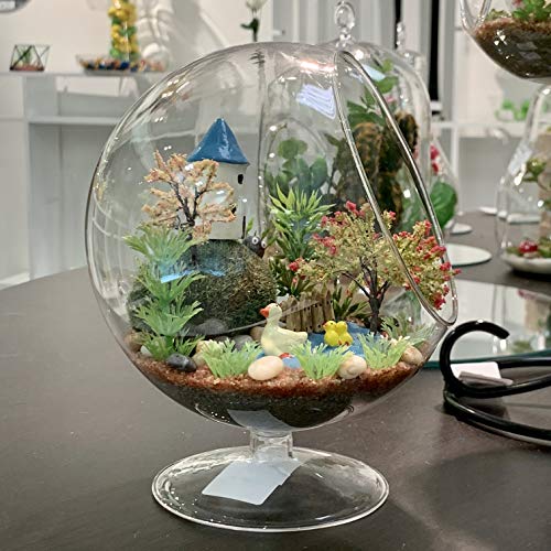 WGV Planter Terrarium with Stand, Ball Diameter 6" Height 7", Clear Glass Floral Container Vase, DIY Succulents Outdoor Garden Home Office Decor Slant Cut Orb, 1 Piece - size: 6"D