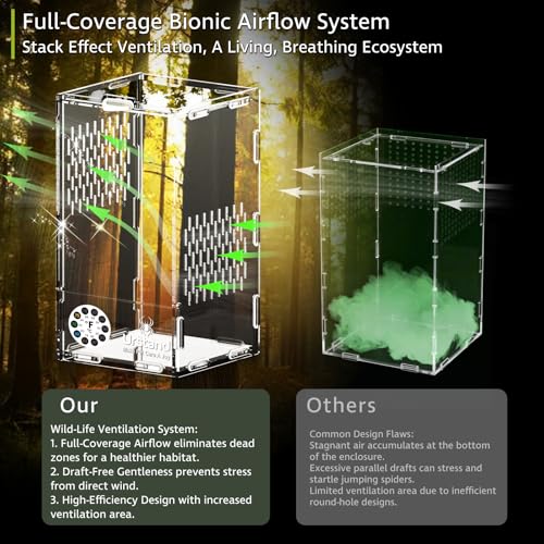 Jumping Spider Enclosure, Front-Opening Acrylic Spider Terrarium with Magnetic Door,Laser-Cut Biomimetic Ventilation System, Escape-Proof for Feeder Insects (4.3"x4.3"x7.8") - size: 4.3"x4.3"x7.8"